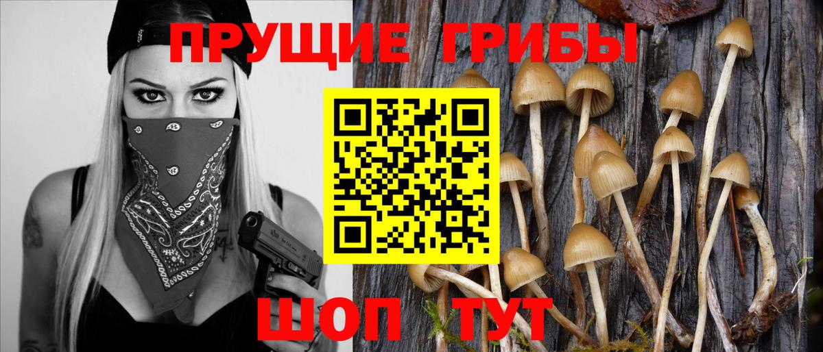 Галлюциногенные грибы MAGIC MUSHROOMS  Вход с VPN  Усть-Джегута 